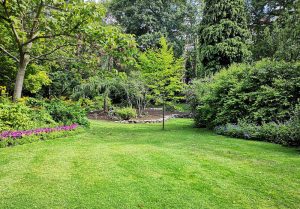 Optimiser l'expérience du jardin à Fricourt